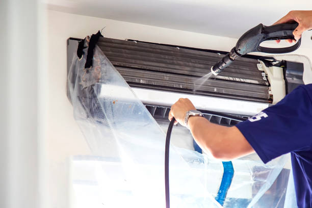 Best Affordable Air Duct Cleaning  in Brownlee Park, MI