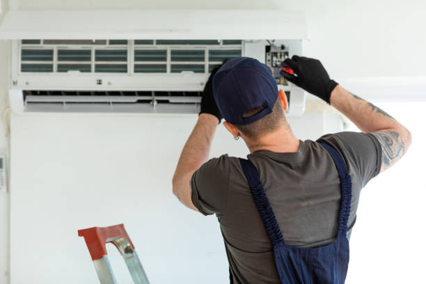 Best Affordable Duct Cleaning Services  in Brownlee Park, MI
