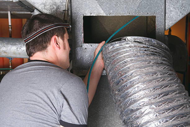 Best Ductwork Cleaning Services  in Brownlee Park, MI