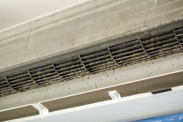 Best Commercial Air Duct Cleaning  in Brownlee Park, MI