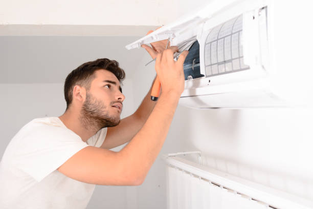 Best Affordable Air Duct Cleaning  in Brownlee Park, MI