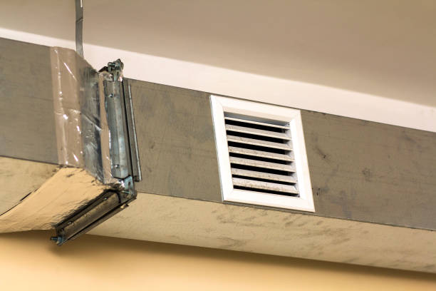 Best HVAC System Cleaning  in Brownlee Park, MI